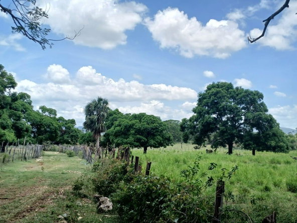 Twelfth image of Cataboo, Punches District in Black River, St. Elizabeth, Jamaica - property is For Sale
