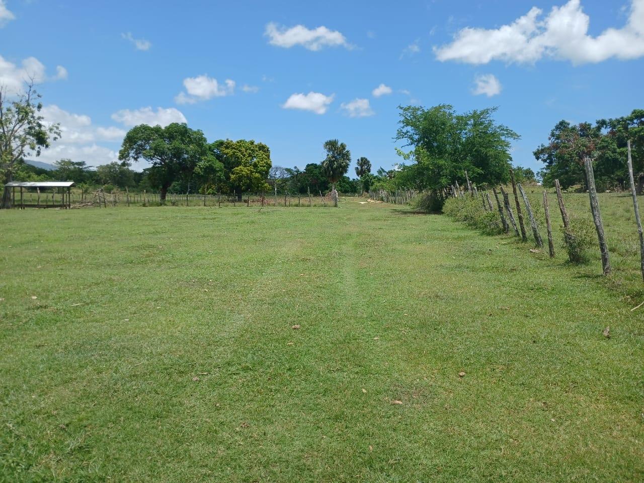 Fourteenth image of Cataboo, Punches District in Black River, St. Elizabeth, Jamaica - property is For Sale