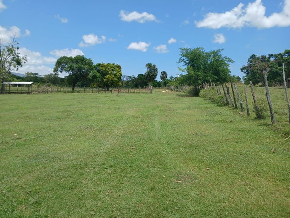Fourteenth image of Cataboo, Punches District in Black River, St. Elizabeth, Jamaica - property is For Sale