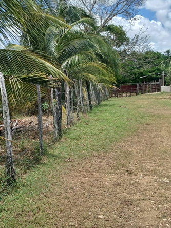 Fifteenth image of Cataboo, Punches District in Black River, St. Elizabeth, Jamaica - property is For Sale