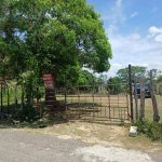 First image of Cataboo, Punches District in Black River, St. Elizabeth, Jamaica - property is For Sale
