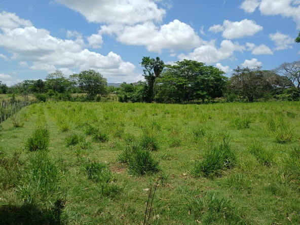 Third image of Cataboo, Punches District in Black River, St. Elizabeth, Jamaica - property is For Sale