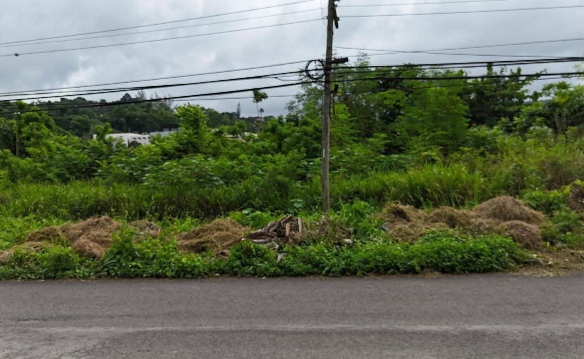 Fifth image of Lot 45 Cardiff Hall in Runaway Bay, St. Ann, Jamaica - property is For Sale