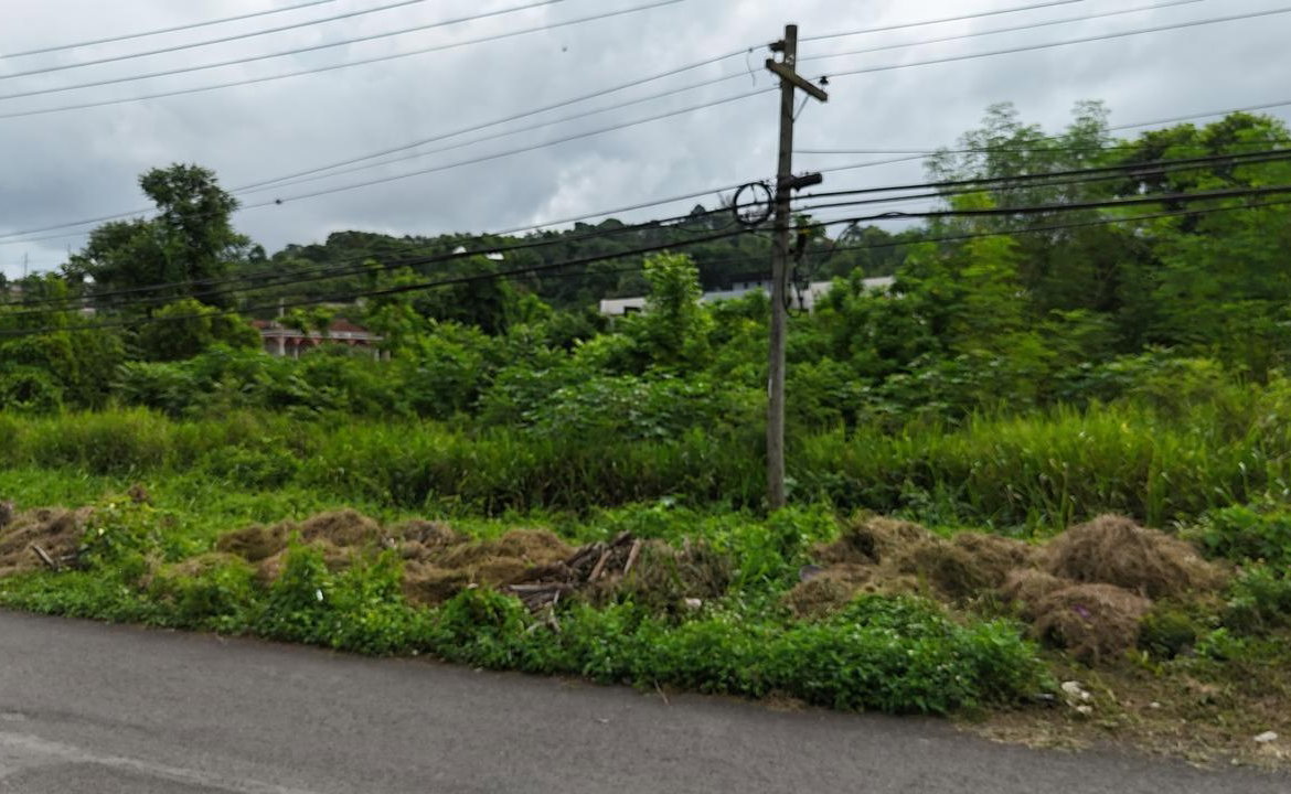 Seventh image of Lot 45 Cardiff Hall in Runaway Bay, St. Ann, Jamaica - property is For Sale