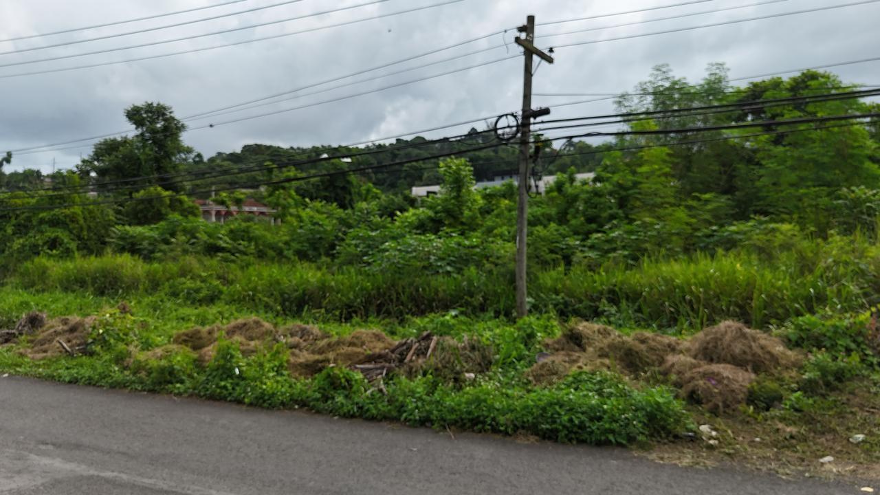 Seventh image of Lot 45 Cardiff Hall in Runaway Bay, St. Ann, Jamaica - property is For Sale