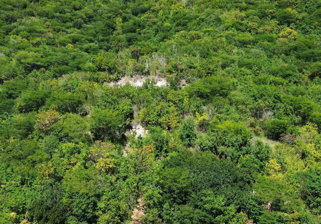 Fourth image of Bay View, Garcia dr in BULL BAY, St. Andrew, Jamaica - property is For Sale