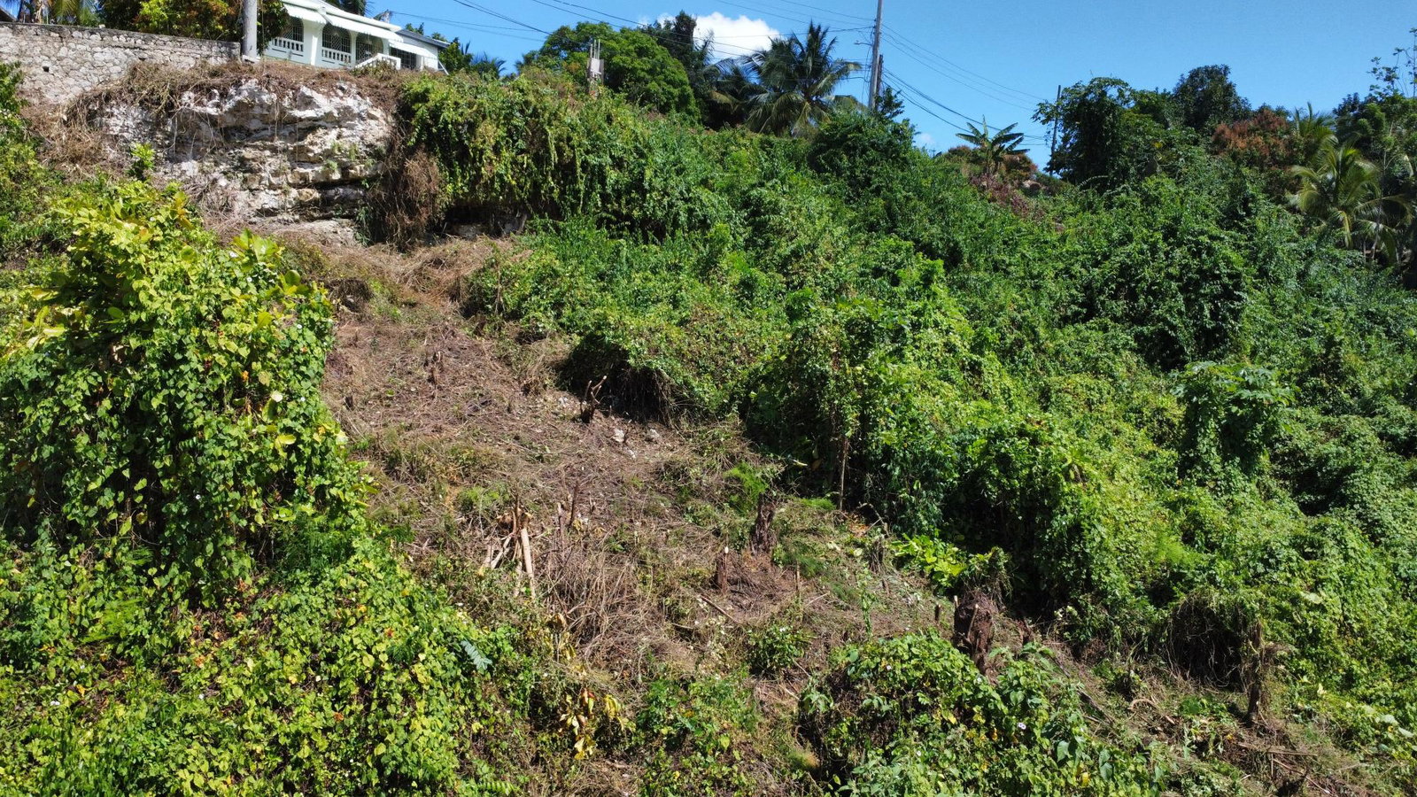 Prime-13-Acre-Residential-Lot-for-Sale-in-Porto-Bello-St.-James Second image of 253 Pasture Drive in Porto Bello, St. James, Jamaica - property is For Sale