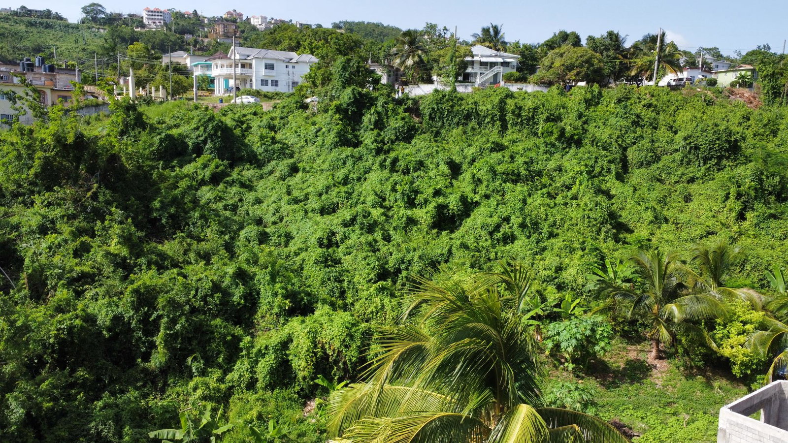 Prime-13-Acre-Residential-Lot-for-Sale-in-Porto-Bello-St.-James Eleventh image of 253 Pasture Drive in Porto Bello, St. James, Jamaica - property is For Sale