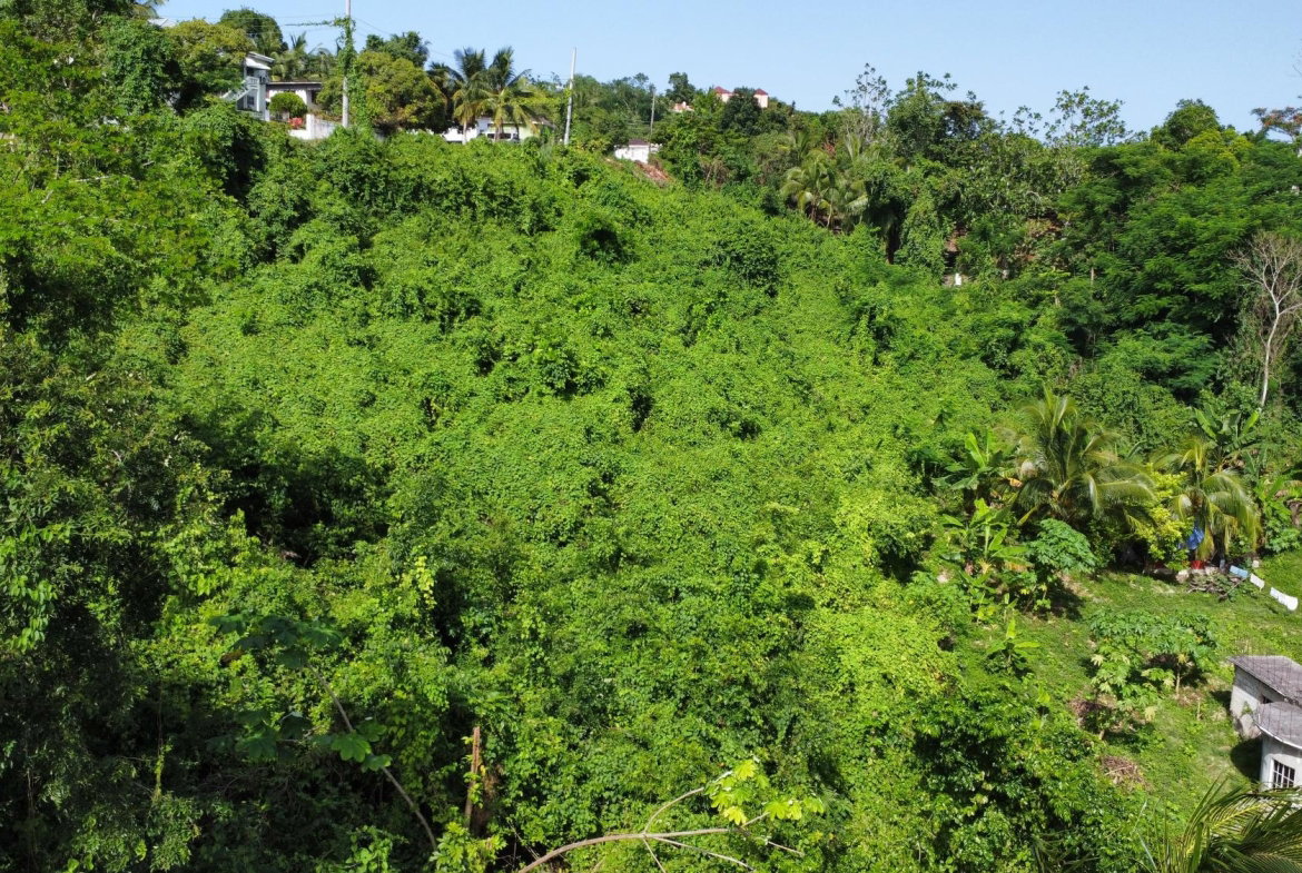 Twelfth image of 253 Pasture Drive in Porto Bello, St. James, Jamaica - property is For Sale