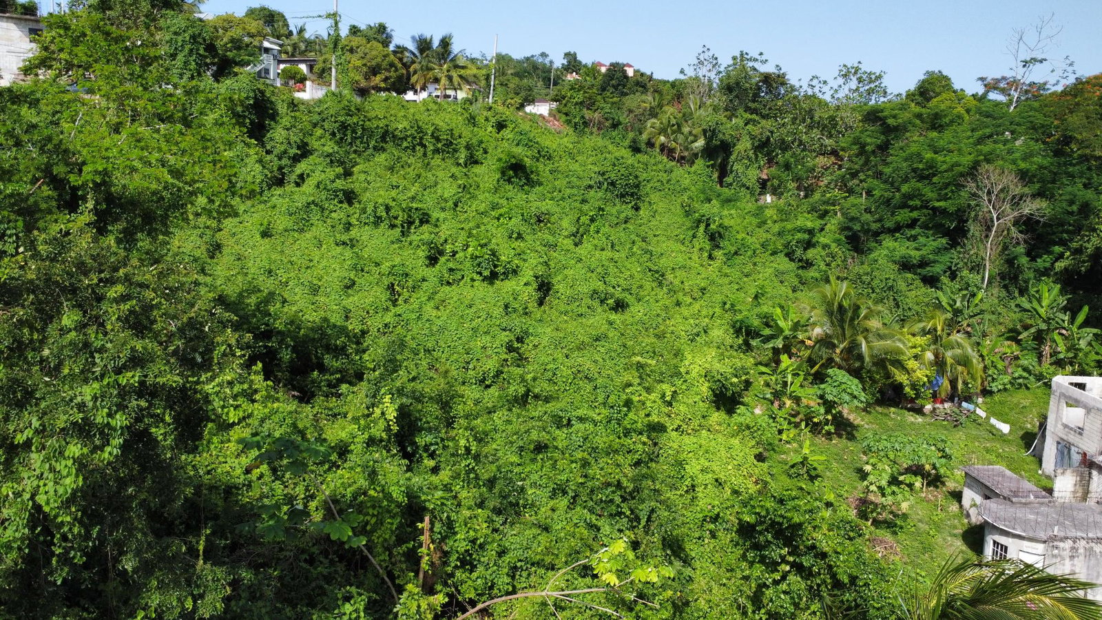Prime-13-Acre-Residential-Lot-for-Sale-in-Porto-Bello-St.-James Twelfth image of 253 Pasture Drive in Porto Bello, St. James, Jamaica - property is For Sale