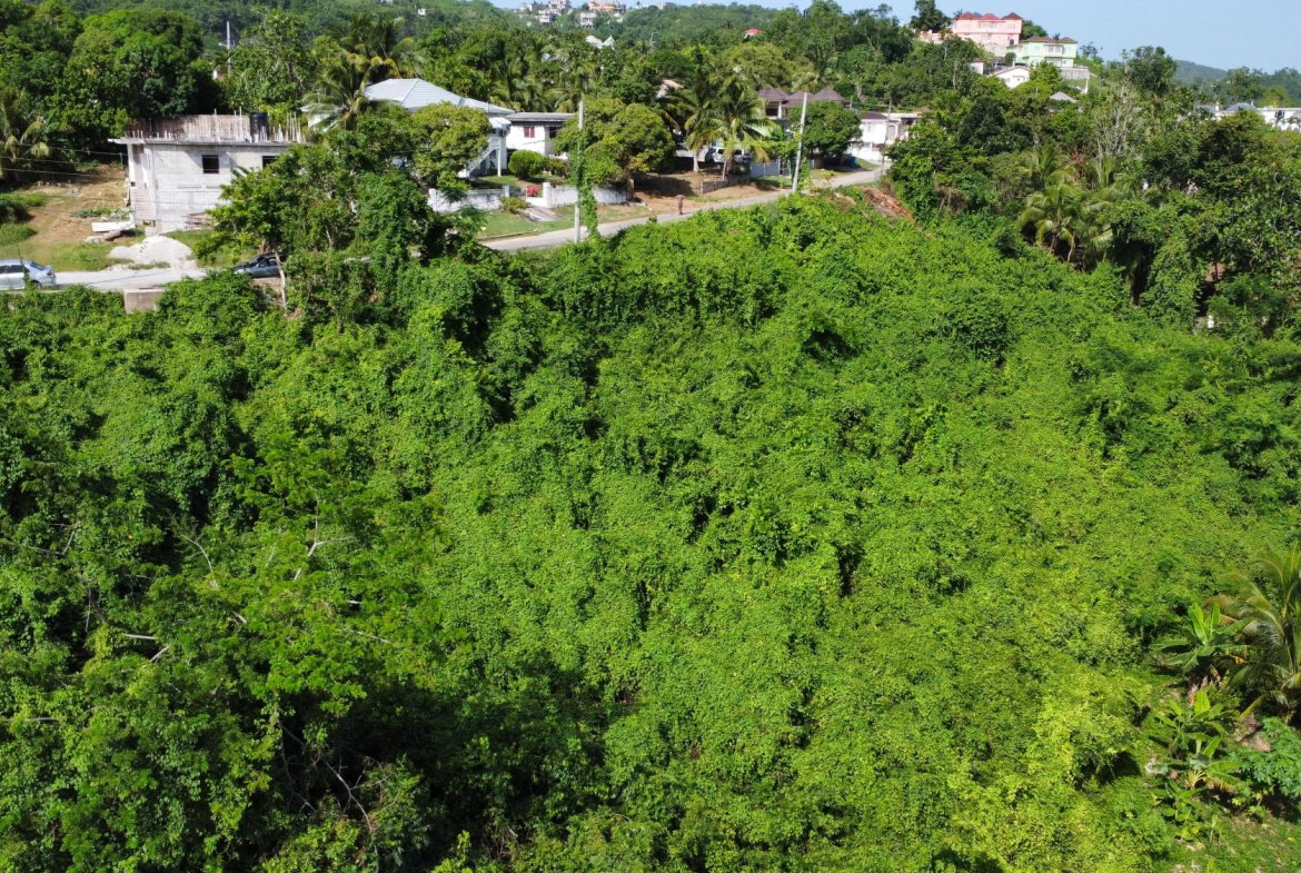 Thirteenth image of 253 Pasture Drive in Porto Bello, St. James, Jamaica - property is For Sale