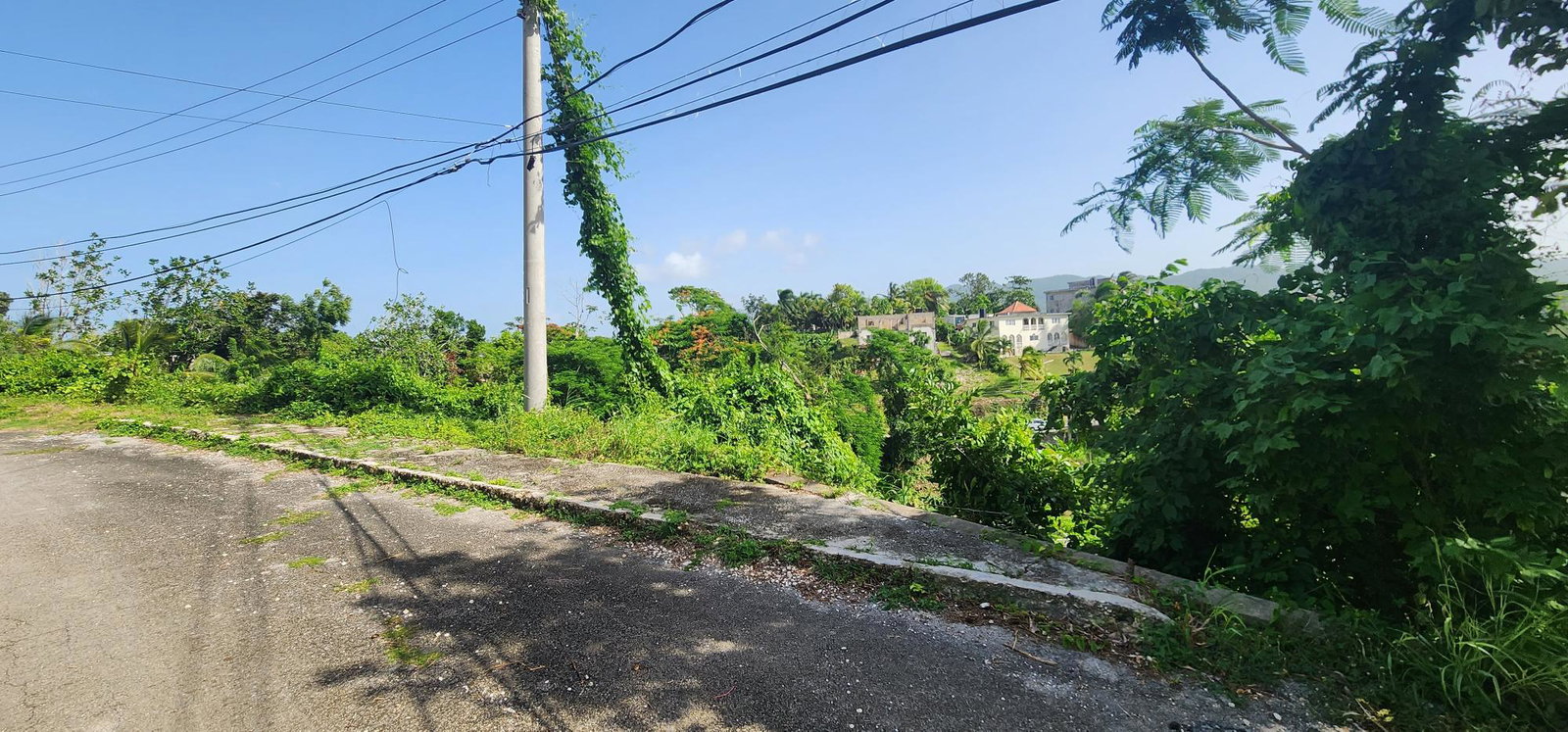 Prime-13-Acre-Residential-Lot-for-Sale-in-Porto-Bello-St.-James Fifteenth image of 253 Pasture Drive in Porto Bello, St. James, Jamaica - property is For Sale