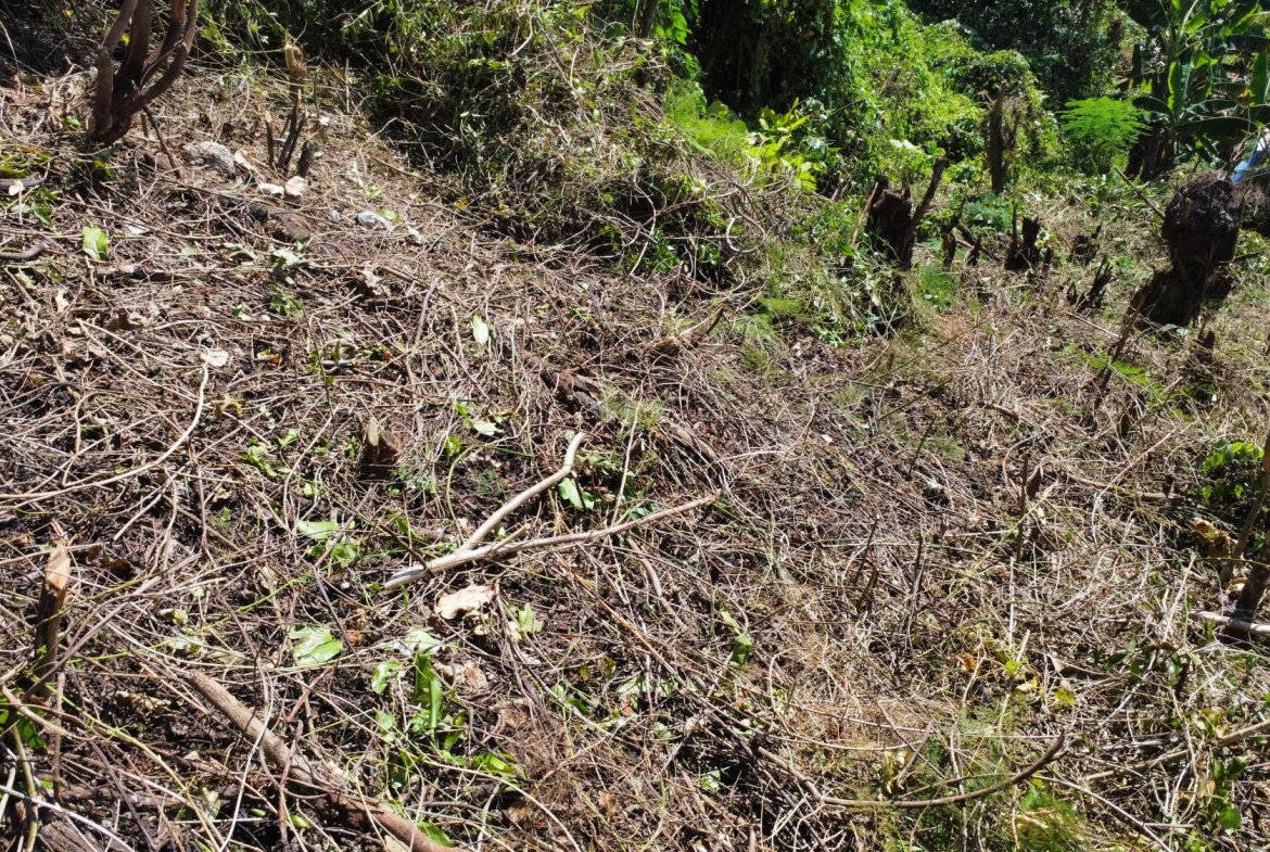 Third image of 253 Pasture Drive in Porto Bello, St. James, Jamaica - property is For Sale