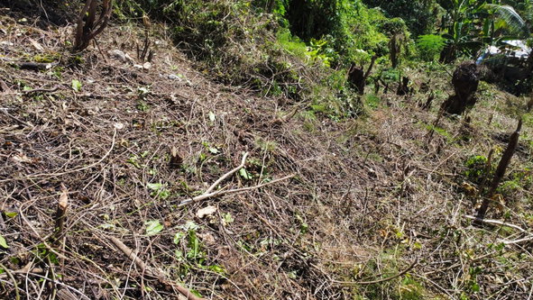 Third image of 253 Pasture Drive in Porto Bello, St. James, Jamaica - property is For Sale