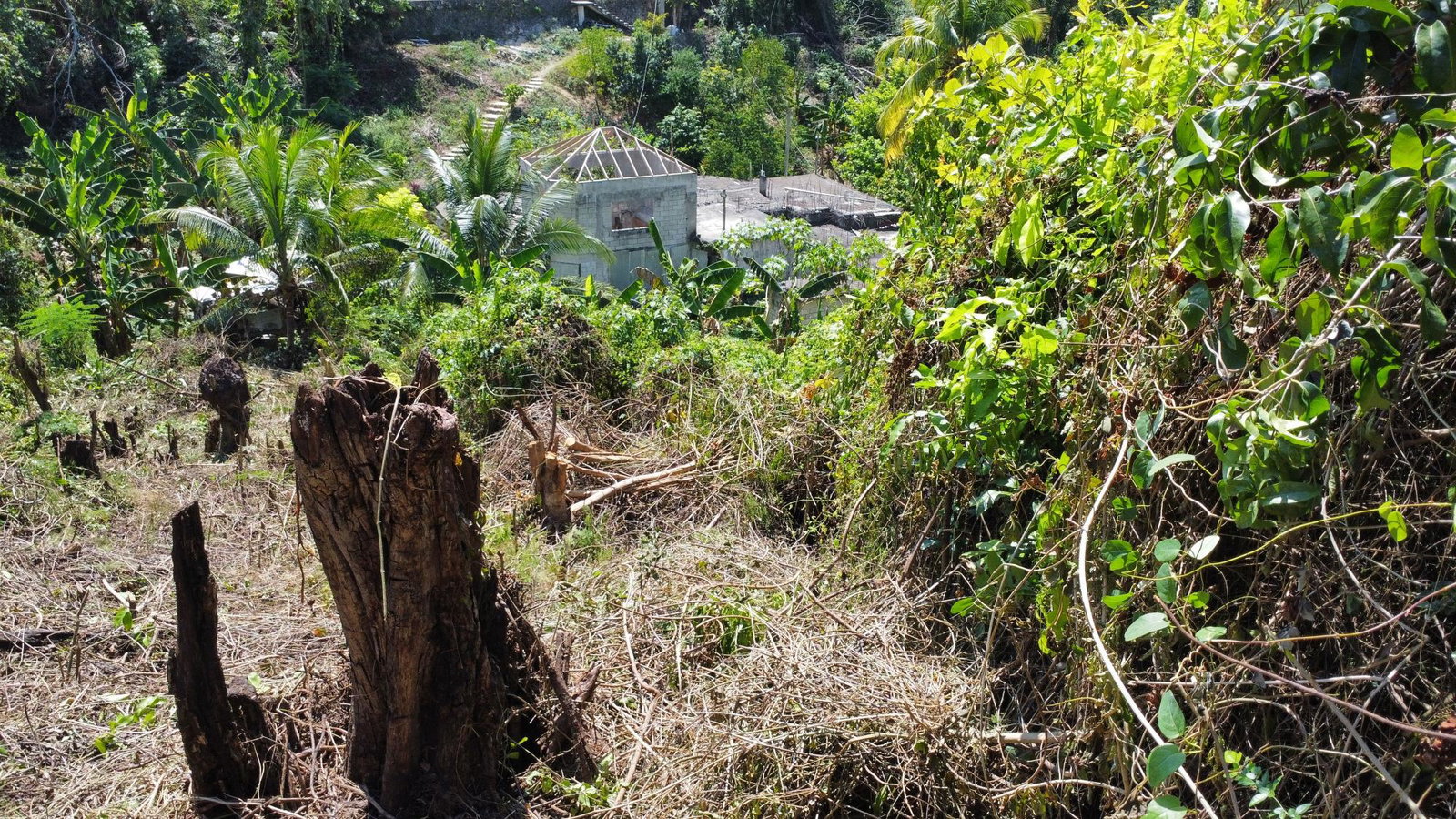 Prime-13-Acre-Residential-Lot-for-Sale-in-Porto-Bello-St.-James Fourth image of 253 Pasture Drive in Porto Bello, St. James, Jamaica - property is For Sale