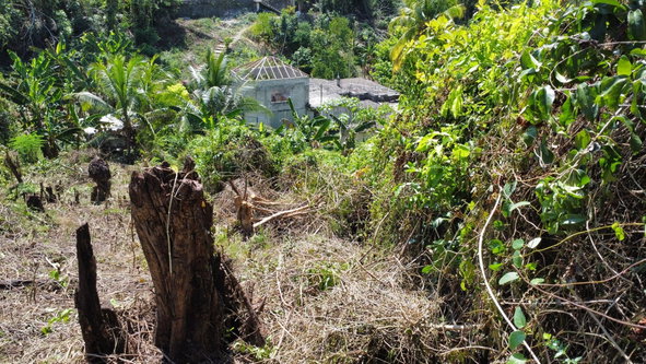 Fourth image of 253 Pasture Drive in Porto Bello, St. James, Jamaica - property is For Sale