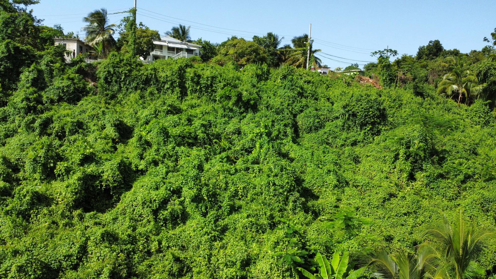 Prime-13-Acre-Residential-Lot-for-Sale-in-Porto-Bello-St.-James Ninth image of 253 Pasture Drive in Porto Bello, St. James, Jamaica - property is For Sale