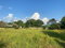 First image of 15 Swallowfield Drive in Havendale, St. Andrew, Jamaica - property is For Sale