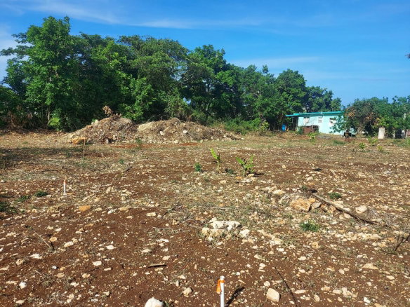 First image of 6 Hopewell Gardens in Discovery Bay, St. Ann, Jamaica - property is For Sale