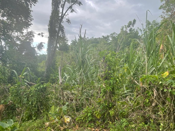 Second image of Somerton Lima Estate in Lima Estate, St. James, Jamaica - property is For Sale