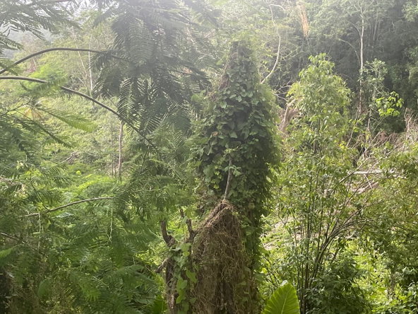 Third image of Somerton Lima Estate in Lima Estate, St. James, Jamaica - property is For Sale