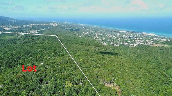 Second image of Part of Lottery Pen, St. in SPOT VALLEY, St. James, Jamaica - property is For Sale