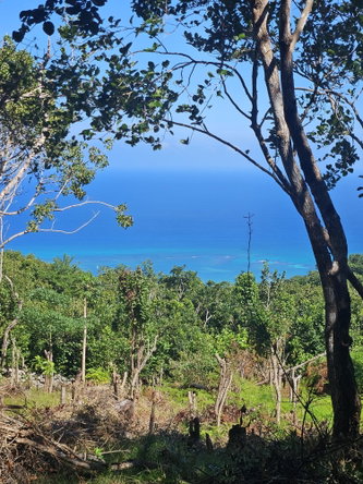Third image of Part of Lottery Pen, St. in SPOT VALLEY, St. James, Jamaica - property is For Sale