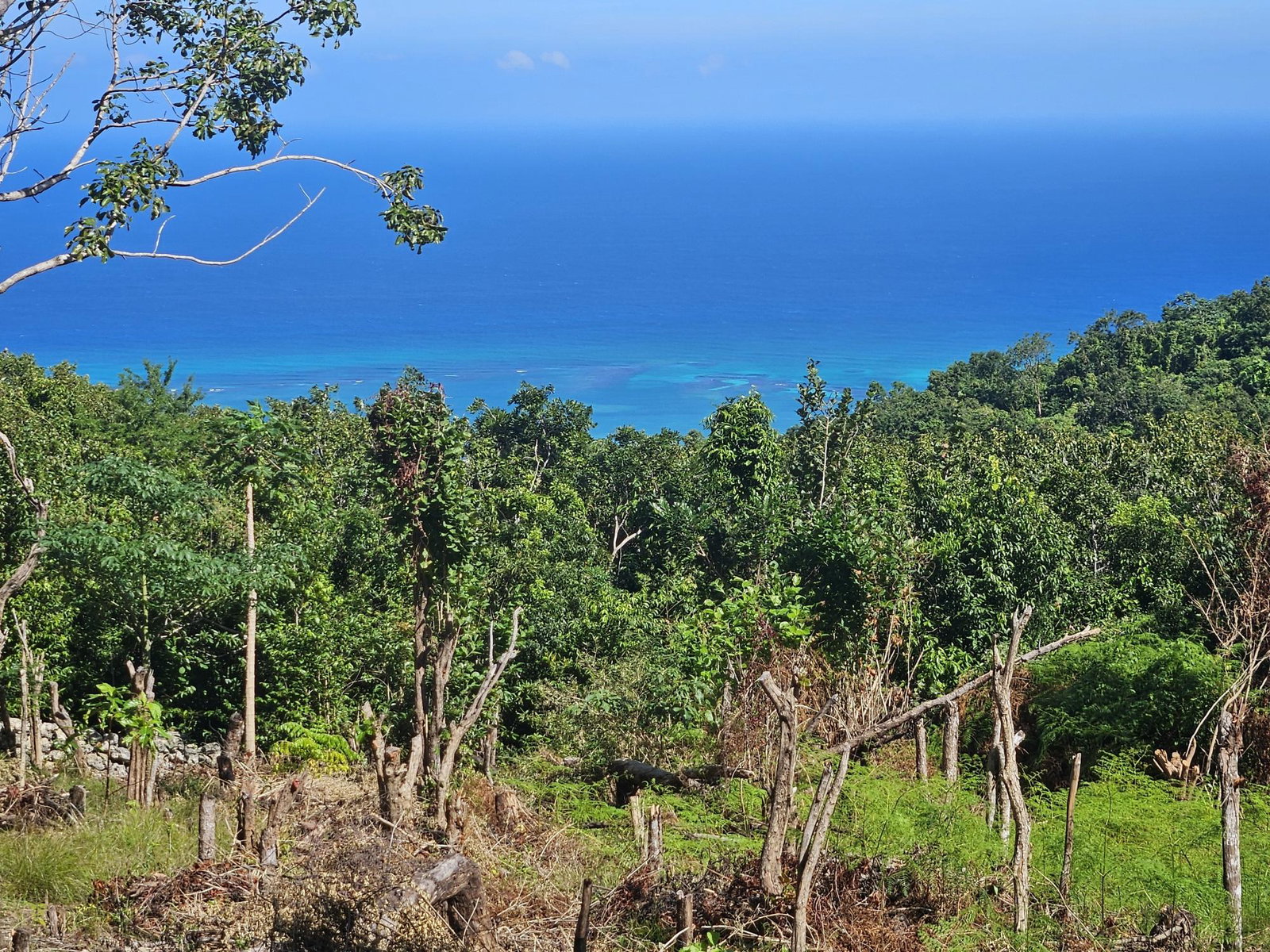 Fourth image of Part of Lottery Pen, St. in SPOT VALLEY, St. James, Jamaica - property is For Sale