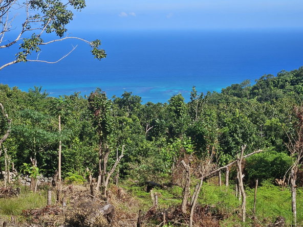 Fourth image of Part of Lottery Pen, St. in SPOT VALLEY, St. James, Jamaica - property is For Sale