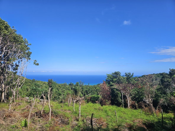 Fifth image of Part of Lottery Pen, St. in SPOT VALLEY, St. James, Jamaica - property is For Sale
