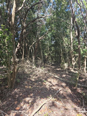 Ninth image of Part of Lottery Pen, St. in SPOT VALLEY, St. James, Jamaica - property is For Sale