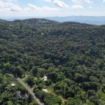 First image of Flower Hill Drive in Flower Hill, St. James, Jamaica - property is For Sale