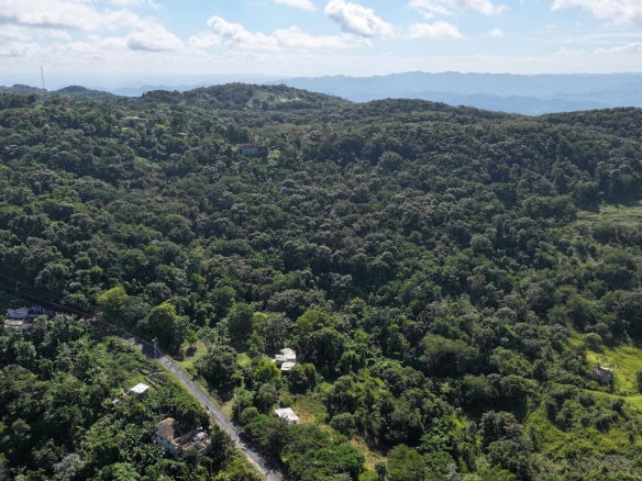 First image of Flower Hill Drive in Flower Hill, St. James, Jamaica - property is For Sale