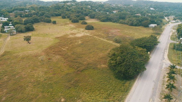 Sixth image of Lot 116 Haughton Court lu in Lucea, Hanover, Jamaica - property is For Sale