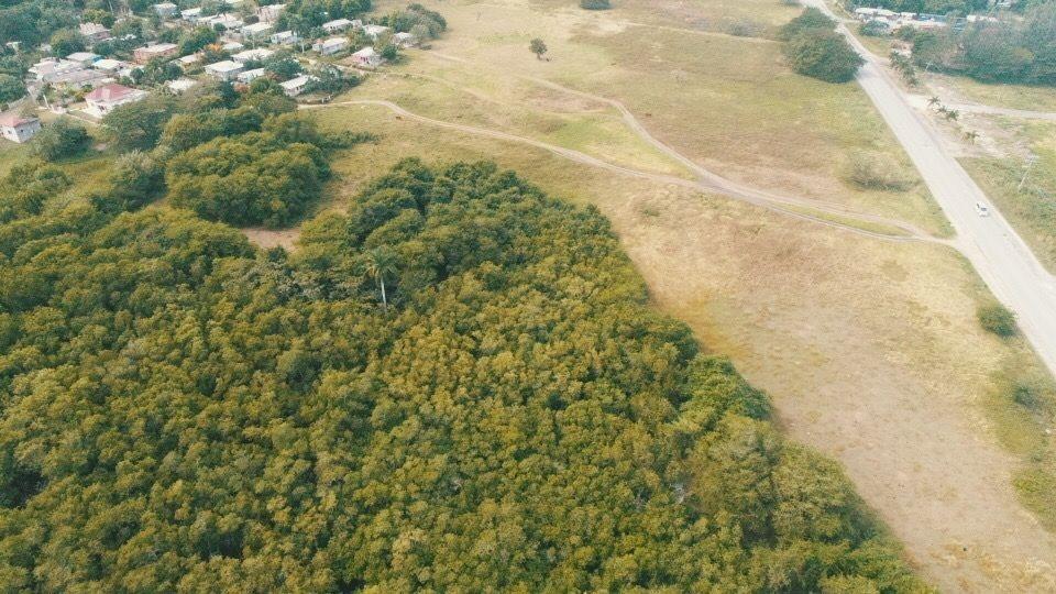 Tenth image of Lot 119 Haughton Court in Lucea, Hanover, Jamaica - property is For Sale