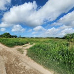 First image of Wilkins Lane, Bushy Park in Bushy Park, St. Catherine, Jamaica - property is For Sale