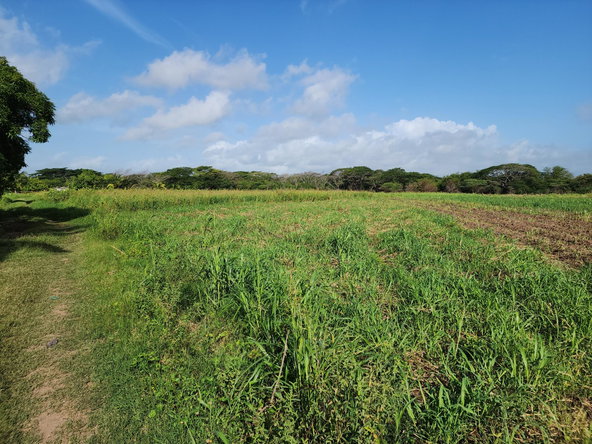 Sixth image of Wilkins Lane, Bushy Park in Bushy Park, St. Catherine, Jamaica - property is For Sale