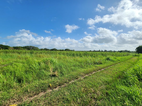 Ninth image of Wilkins Lane, Bushy Park in Bushy Park, St. Catherine, Jamaica - property is For Sale