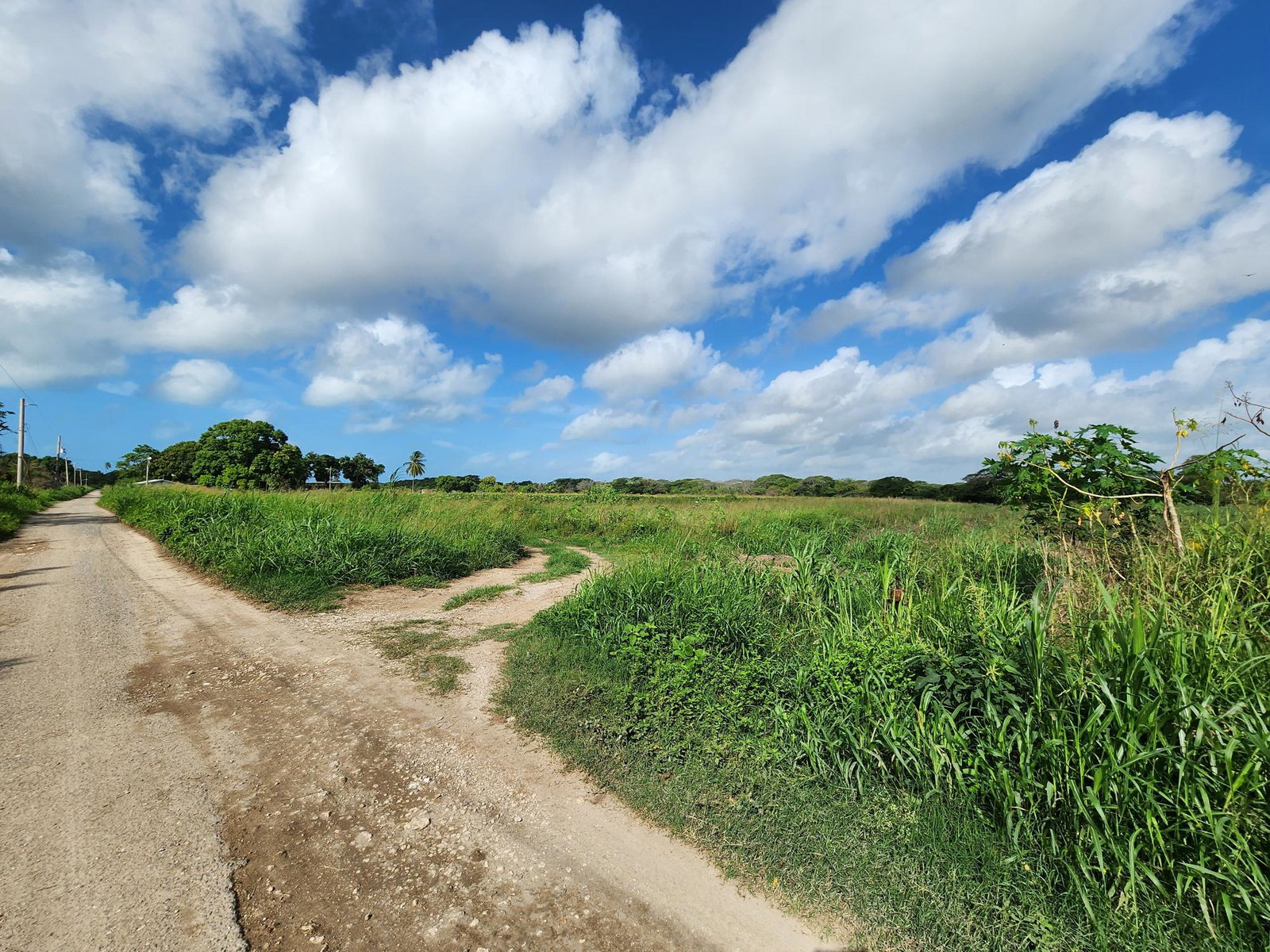 First image of Wilkins Lane, Bushy Park in Bushy Park, St. Catherine, Jamaica - property is For Sale