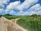 First image of Wilkins Lane, Bushy Park in Bushy Park, St. Catherine, Jamaica - property is For Sale