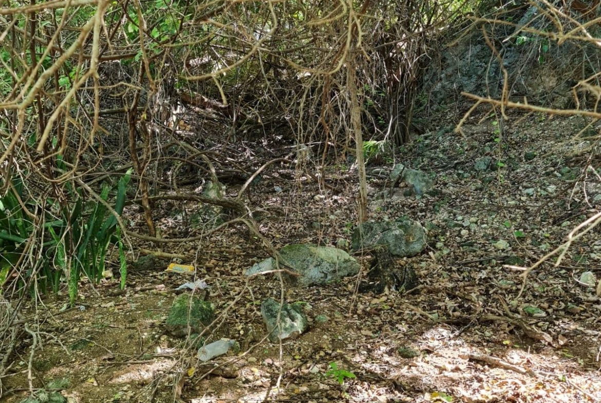 Fourteenth image of Lot 3h Fort Charles, Treasure be in Treasure Beach, St. Elizabeth, Jamaica - property is For Sale