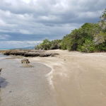First image of Lot 3h Fort Charles, Treasure be in Treasure Beach, St. Elizabeth, Jamaica - property is For Sale