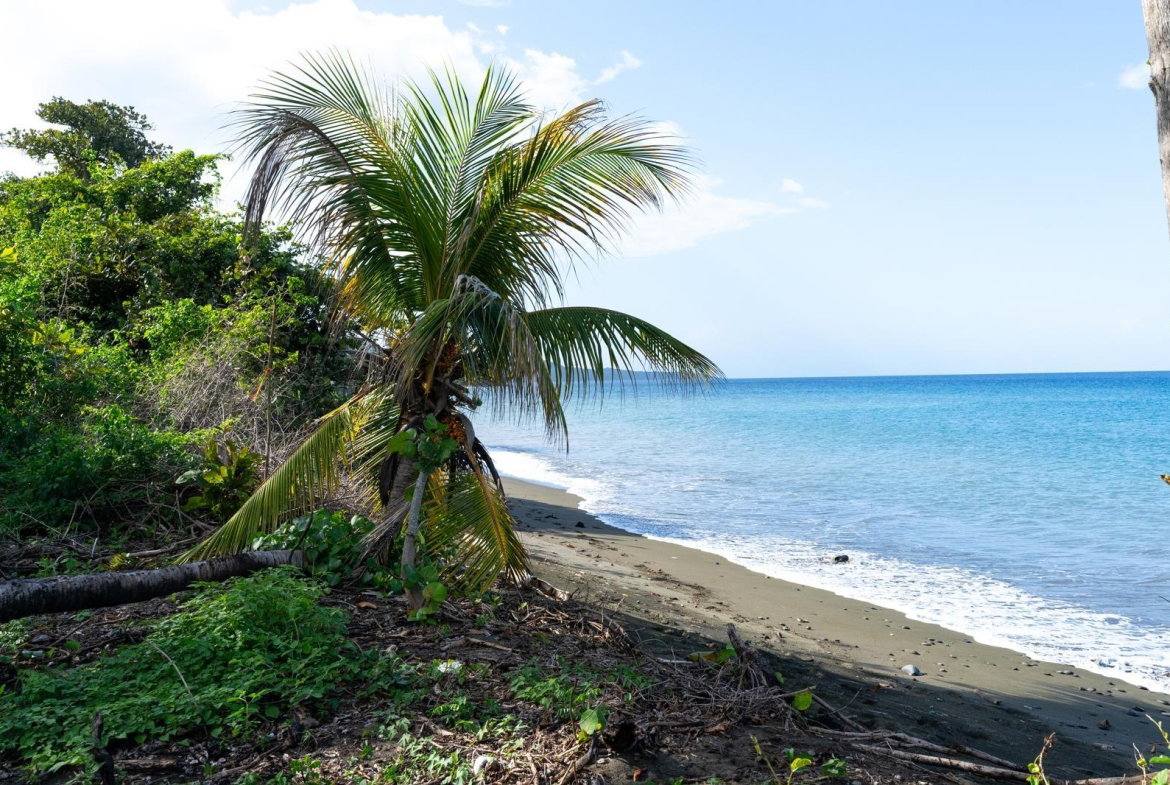 Second image of Hermitage Farm in Hope Bay, Portland, Jamaica - property is For Sale