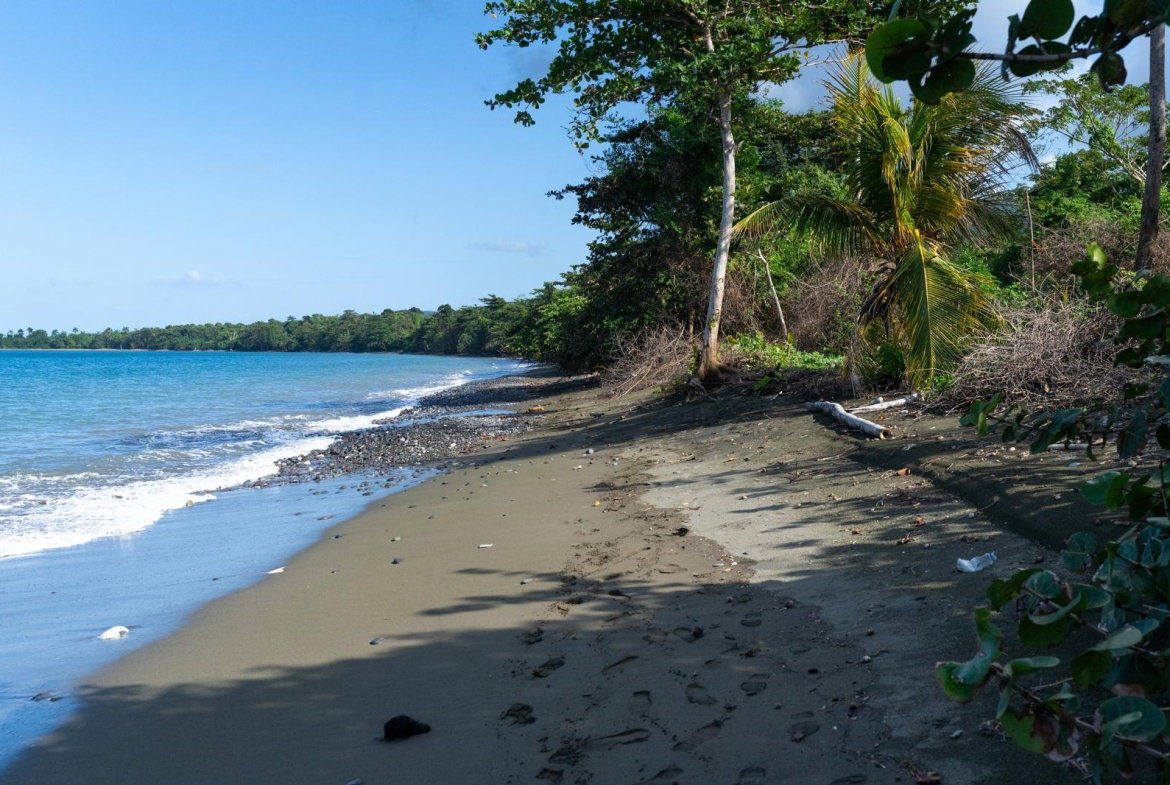 First image of Hermitage Farm in Hope Bay, Portland, Jamaica - property is For Sale