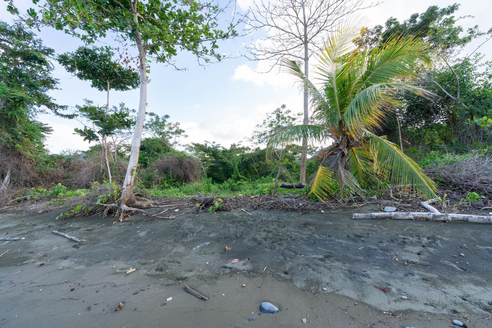 Fourteenth image of Hermitage Farm in Hope Bay, Portland, Jamaica - property is For Sale