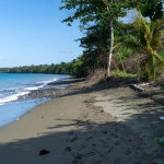 First image of Hermitage Farm in Hope Bay, Portland, Jamaica - property is For Sale