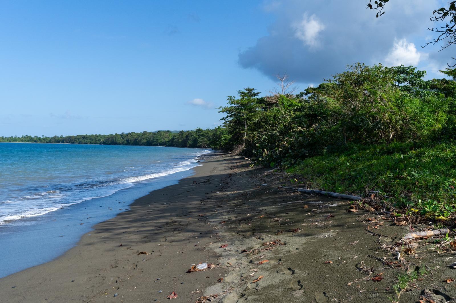 Third image of Hermitage Farm in Hope Bay, Portland, Jamaica - property is For Sale