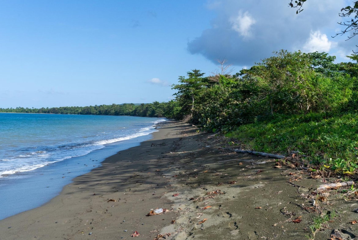 Fifth image of Hermitage Farm in Hope Bay, Portland, Jamaica - property is For Sale