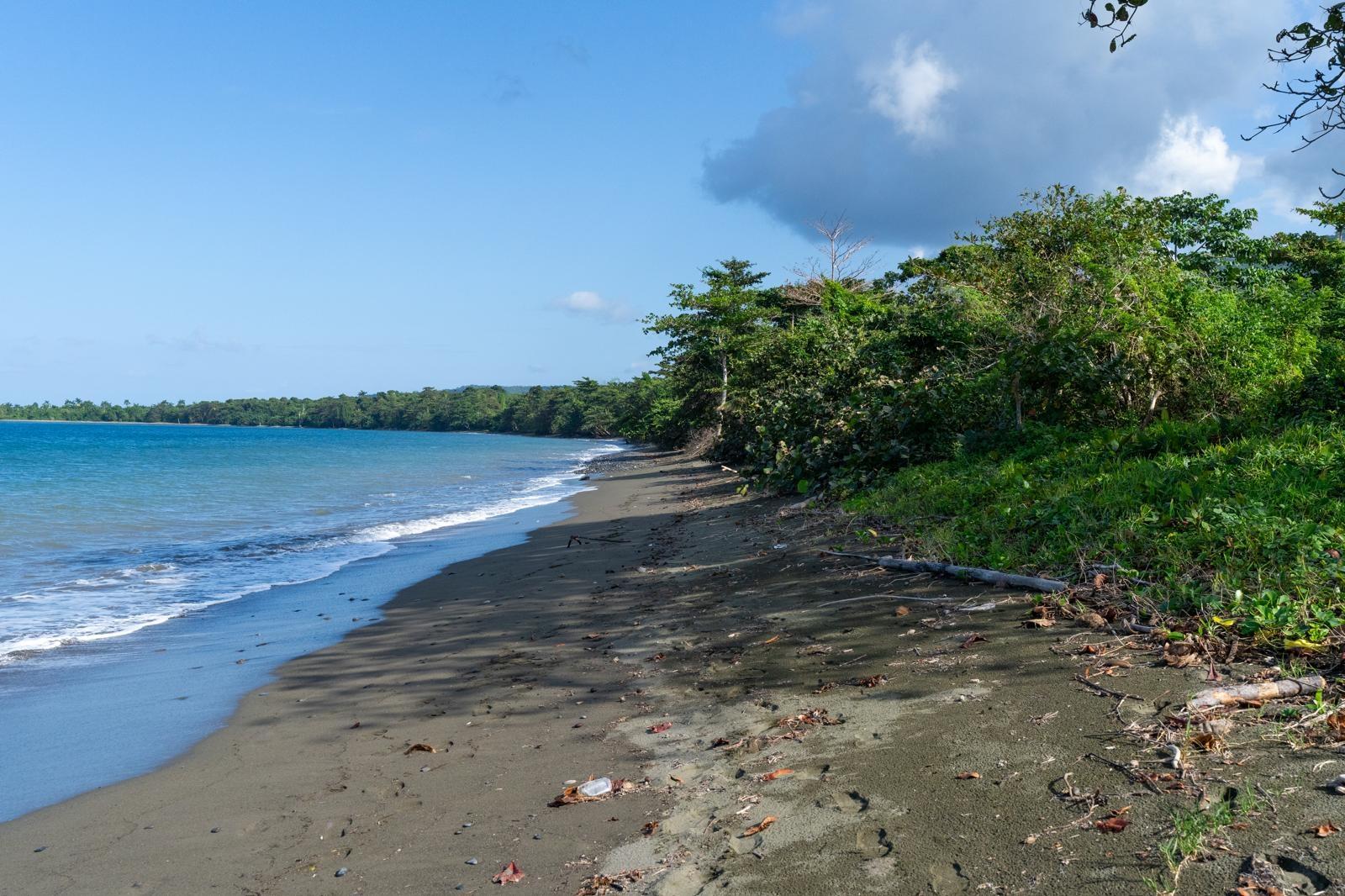 Fifth image of Hermitage Farm in Hope Bay, Portland, Jamaica - property is For Sale