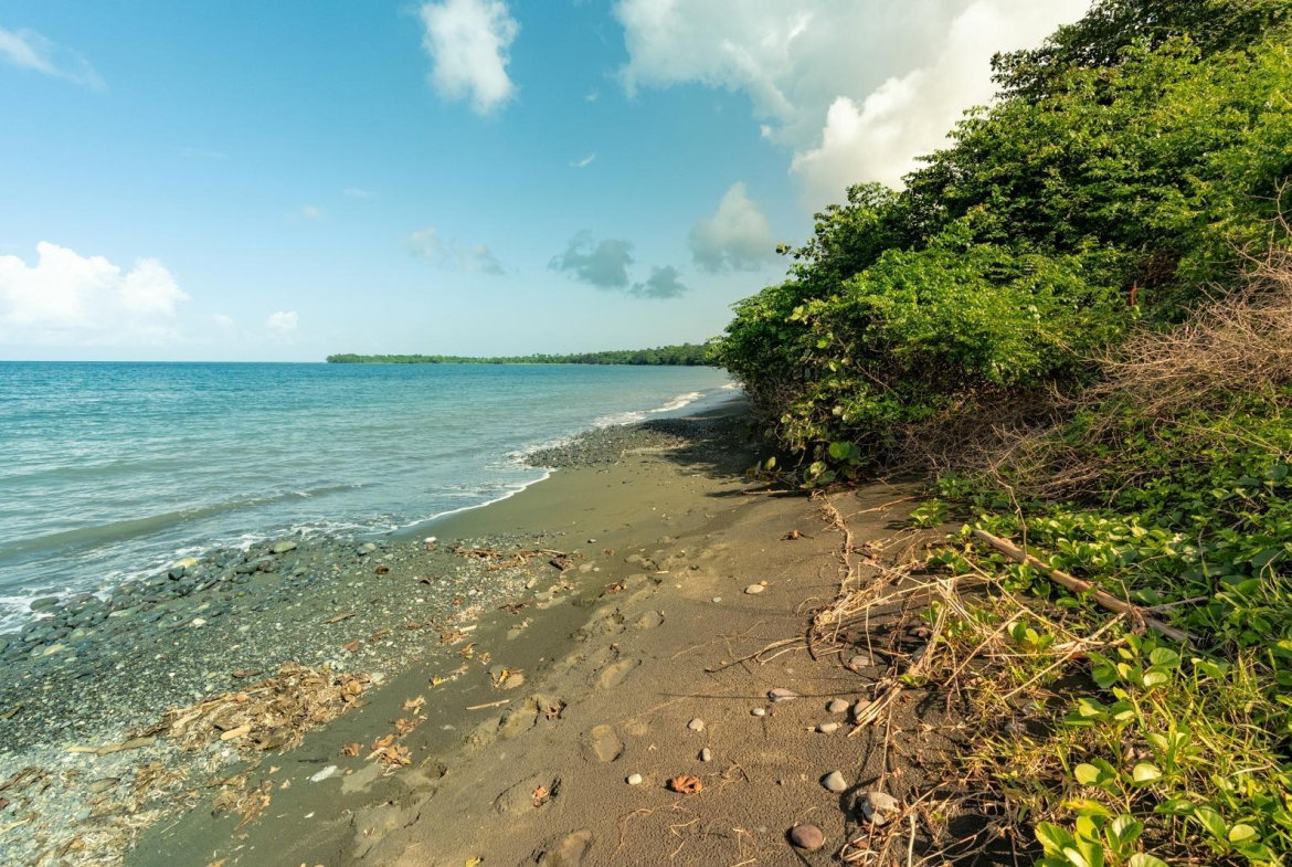 Sixth image of Hermitage Farm in Hope Bay, Portland, Jamaica - property is For Sale